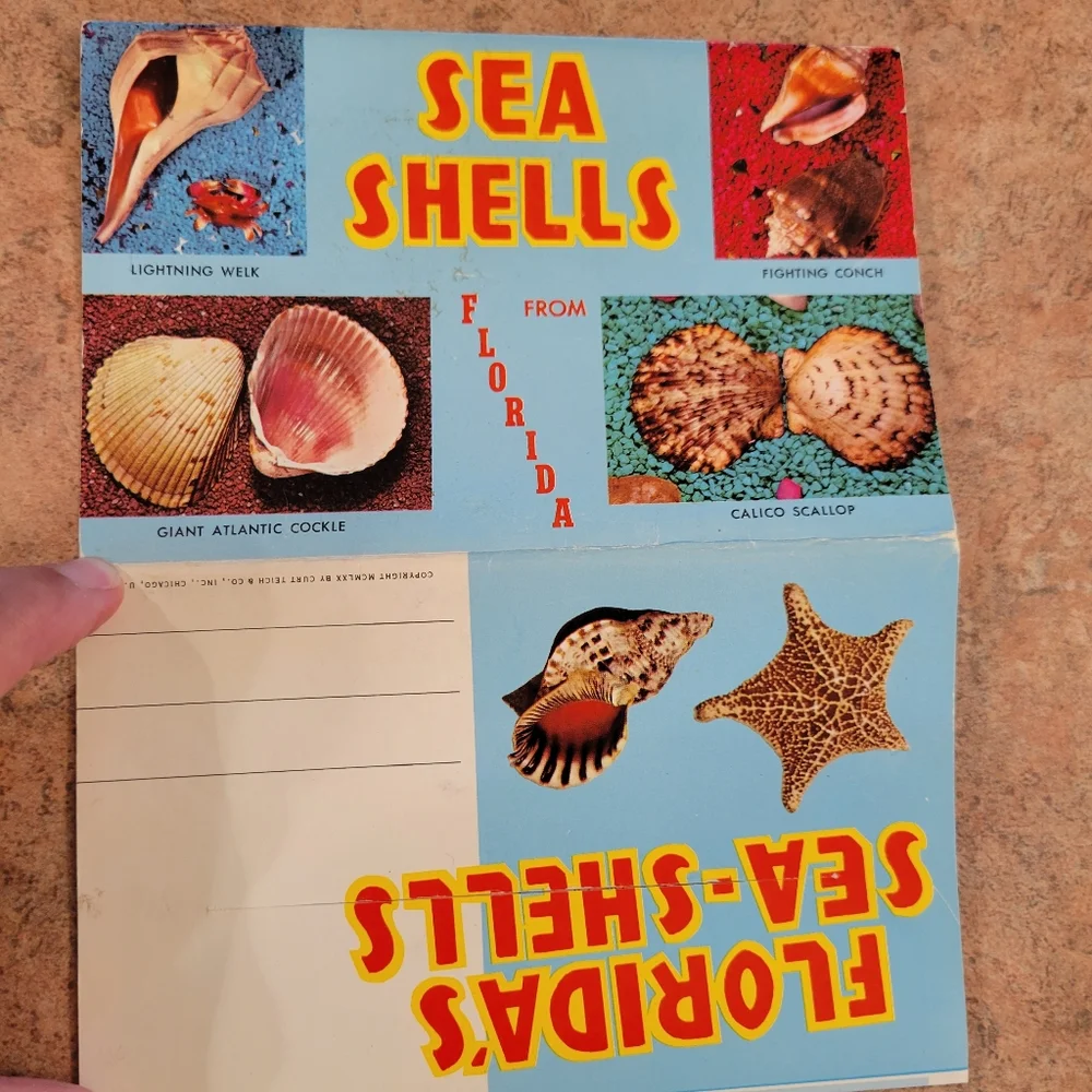 Vintage Postcard Booklets from Florida ~ Circus ~ Seashells ~ Retro!